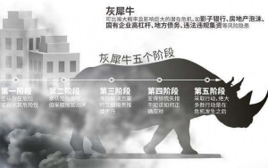小心，中國產(chǎn)業(yè)園區的“灰犀?！庇謥?lái)了！